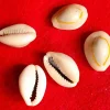 Apan Mithila Appan Mithila todayuse.com Mithila use