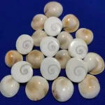 Lord Krishna. The Gomti chakra is also known as the Sudarshan chakra.