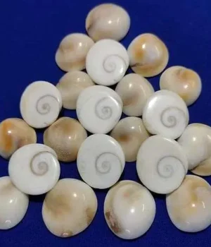 Lord Krishna. The Gomti chakra is also known as the Sudarshan chakra.